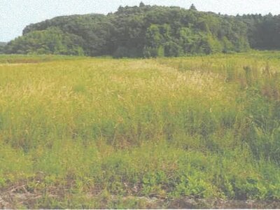 茨城県行方市 農地 128万円の競売物件情報 #2