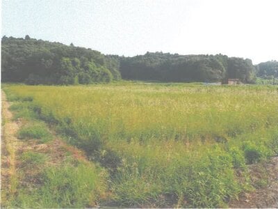 茨城県行方市 農地 128万円の競売物件情報 #3