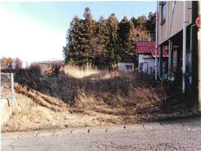 (値下げ) 群馬県渋川市 祖母島駅 農地 124万円の競売物件情報 #1