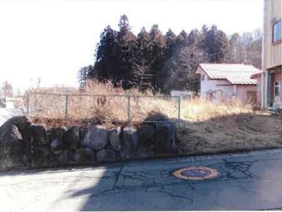 (値下げ) 群馬県渋川市 祖母島駅 農地 124万円の競売物件情報 #2