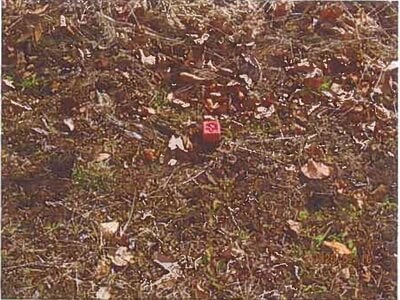 長野県茅野市 戸建て 387万円の競売物件情報 #12