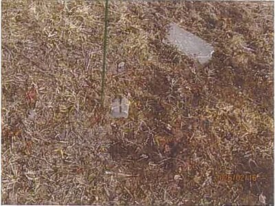 長野県茅野市 戸建て 387万円の競売物件情報 #14