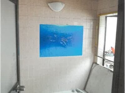 新潟県糸魚川市 えちご押上ひすい海岸駅16分 戸建て 345万円の競売物件情報 #4