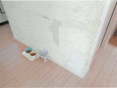 愛知県名古屋市名東区 星ヶ丘駅26分 戸建て 1,563万円の競売物件情報 #6