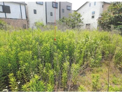 愛知県名古屋市港区 荒子川公園駅22分 農地 2,235万円の競売物件情報 #3