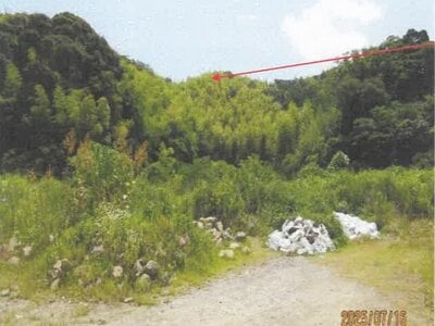 徳島県阿南市 桑野駅 土地 28万円の競売物件情報 #1