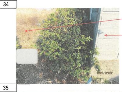 徳島県板野郡松茂町 教会前駅28分 戸建て 330万円の競売物件情報 #26