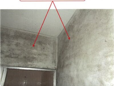(値下げ) 徳島県徳島市 蔵本駅11分 戸建て 513万円の競売物件情報 #13