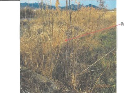 徳島県板野郡松茂町 教会前駅21分 農地 267万円の競売物件情報 #1