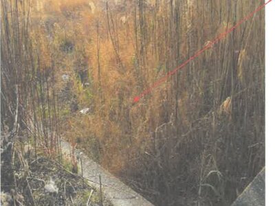 徳島県板野郡松茂町 教会前駅21分 農地 267万円の競売物件情報 #4