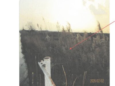 徳島県板野郡松茂町 教会前駅21分 農地 267万円の競売物件情報 #5