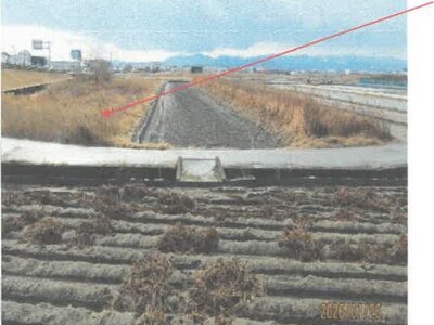 徳島県板野郡松茂町 教会前駅21分 農地 267万円の競売物件情報 #6