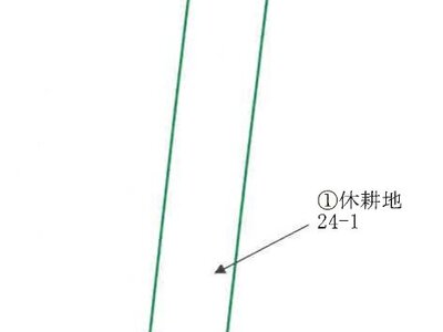 徳島県板野郡松茂町 教会前駅21分 農地 267万円の競売物件情報 #7