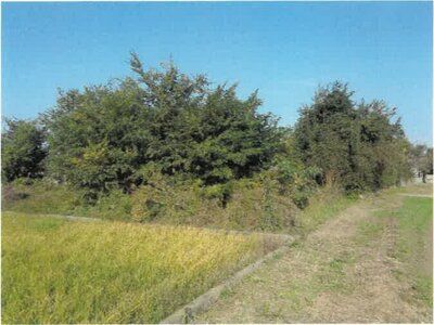 (値下げ) 徳島県吉野川市 鴨島駅19分 戸建て 341万円の競売物件情報 #21