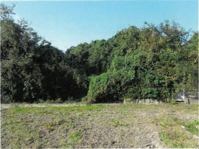 (値下げ) 徳島県吉野川市 鴨島駅19分 戸建て 341万円の競売物件情報 #22