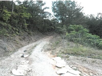 (値下げ) 沖縄県国頭郡大宜味村 農地 193万円の競売物件情報 #3