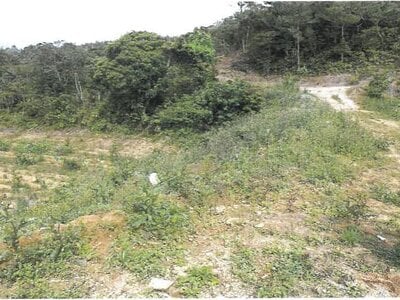 (値下げ) 沖縄県国頭郡大宜味村 農地 193万円の競売物件情報 #6