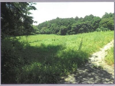 静岡県富士宮市 農地 50万円の競売物件情報 #1