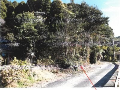 (値下げ) 宮崎県串間市 日向北方駅19分 土地 13万円の競売物件情報 #1