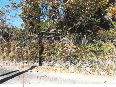 (値下げ) 宮崎県串間市 日向北方駅19分 土地 13万円の競売物件情報 #2