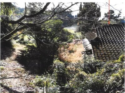 (値下げ) 宮崎県串間市 日向北方駅19分 土地 13万円の競売物件情報 #3