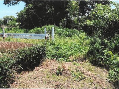 (値下げ) 宮崎県都城市 日向前田駅 農地 156万円の競売物件情報 #13
