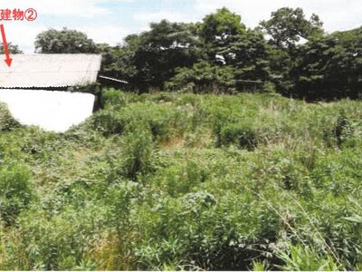 (値下げ) 宮崎県都城市 日向前田駅 農地 156万円の競売物件情報 #17