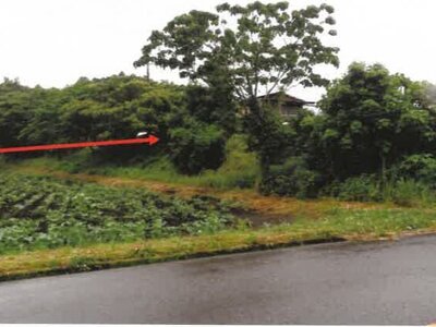(値下げ) 宮崎県都城市 日向前田駅 農地 156万円の競売物件情報 #20