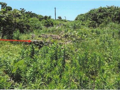 (値下げ) 宮崎県都城市 日向前田駅 農地 156万円の競売物件情報 #23