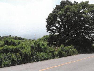 (値下げ) 宮崎県都城市 日向前田駅 農地 156万円の競売物件情報 #25