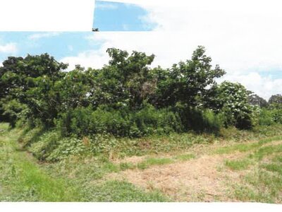 (値下げ) 宮崎県都城市 日向前田駅 農地 156万円の競売物件情報 #27