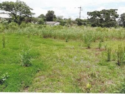 (値下げ) 宮崎県都城市 日向前田駅 農地 156万円の競売物件情報 #3