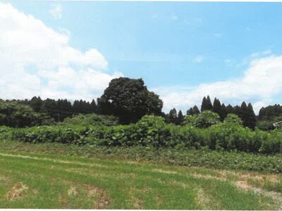 (値下げ) 宮崎県都城市 日向前田駅 農地 156万円の競売物件情報 #30