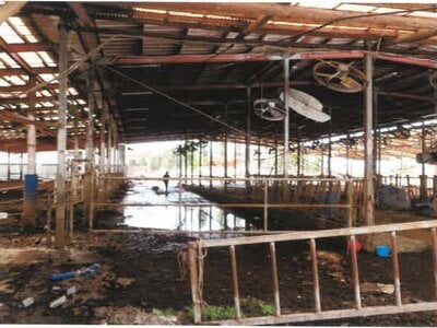 (値下げ) 宮崎県都城市 霧島神宮駅 戸建て 801万円の競売物件情報 #21