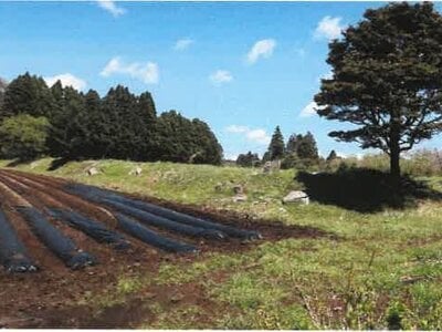 (値下げ) 宮崎県都城市 霧島神宮駅 戸建て 801万円の競売物件情報 #30