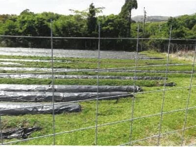 (値下げ) 宮崎県都城市 霧島神宮駅 戸建て 801万円の競売物件情報 #36