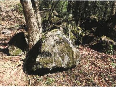 (値下げ) 宮崎県都城市 霧島神宮駅 戸建て 801万円の競売物件情報 #42