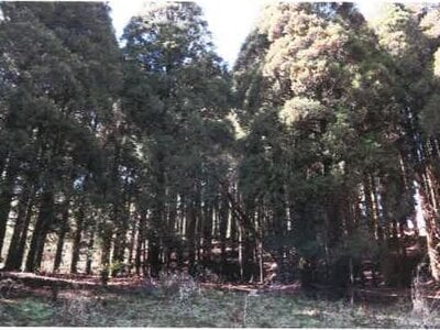 (値下げ) 宮崎県都城市 霧島神宮駅 戸建て 801万円の競売物件情報 #46