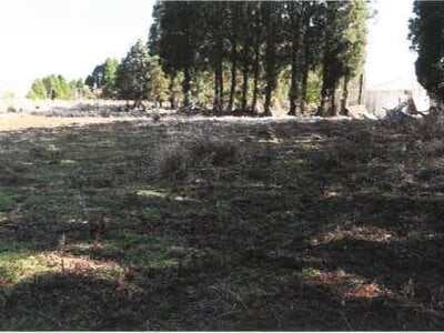 (値下げ) 宮崎県都城市 霧島神宮駅 戸建て 801万円の競売物件情報 #49