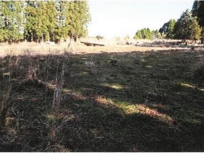 (値下げ) 宮崎県都城市 霧島神宮駅 戸建て 801万円の競売物件情報 #50