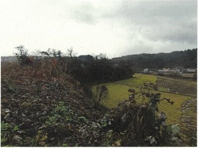 新潟県長岡市 塚山駅 土地 111万円の競売物件情報 #3