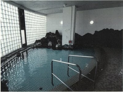 新潟県南魚沼郡湯沢町 越後湯沢駅5分 マンション「ライオンズマンション越後湯沢」177万円の競売物件情報 #9