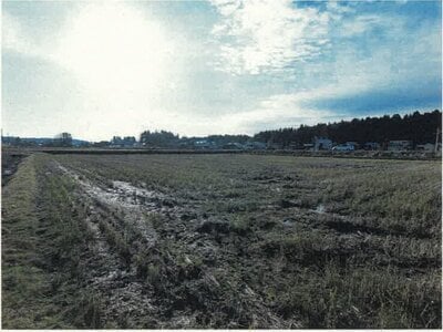 新潟県長岡市 来迎寺駅26分 農地 54万円の競売物件情報 #2