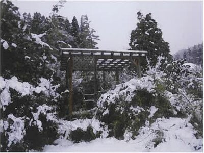 岩手県久慈市 久慈駅 農地 295万円の競売物件情報 #6