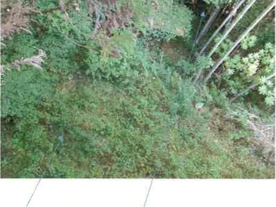 (値下げ) 福島県いわき市 湯本駅27分 戸建て 2,564万円の競売物件情報 #14