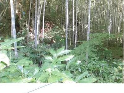 (値下げ) 福島県いわき市 湯本駅27分 戸建て 2,564万円の競売物件情報 #34
