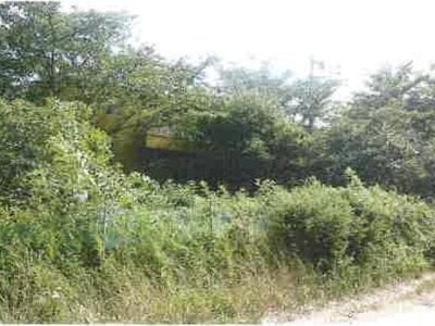 (値下げ) 千葉県船橋市 三咲駅23分 戸建て 1億275万円の競売物件情報 #5