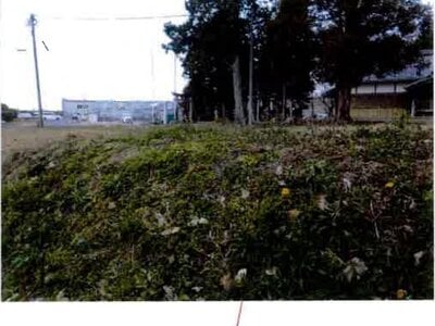 愛知県豊川市 小田渕駅15分 土地 183万円の競売物件情報 #4