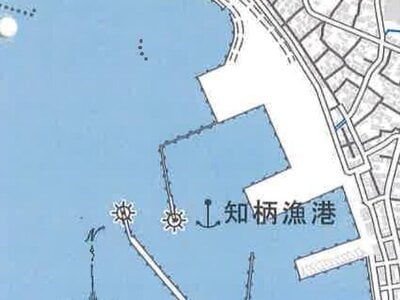 愛知県蒲郡市 西浦駅6分 戸建て 300万円の競売物件情報 #9