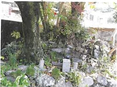 熊本県阿蘇郡南阿蘇村 加勢駅8分 戸建て 285万円の競売物件情報 #10